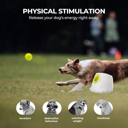 The Paw Launcher!